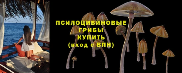 прущий лед Мегион
