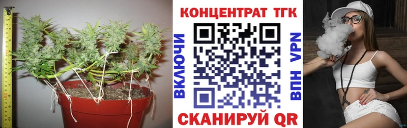 купить наркоту  Бор  ТГК THC oil 