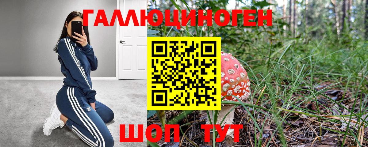 Галлюциногенные грибы Psilocybe  Псилоцибиновые грибы мухоморы  Бор  Вход с VPN 
