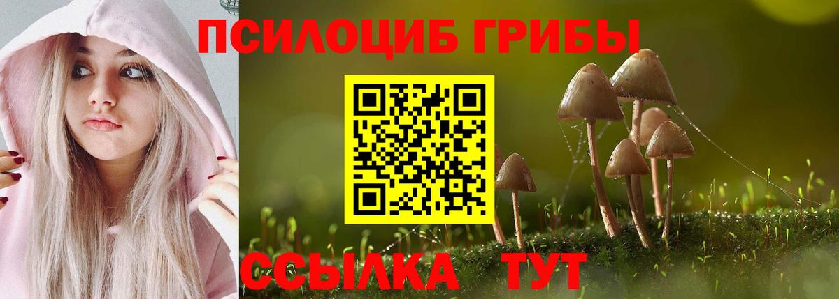 Галлюциногенные грибы Magic Shrooms  дарнет шоп  Бор 