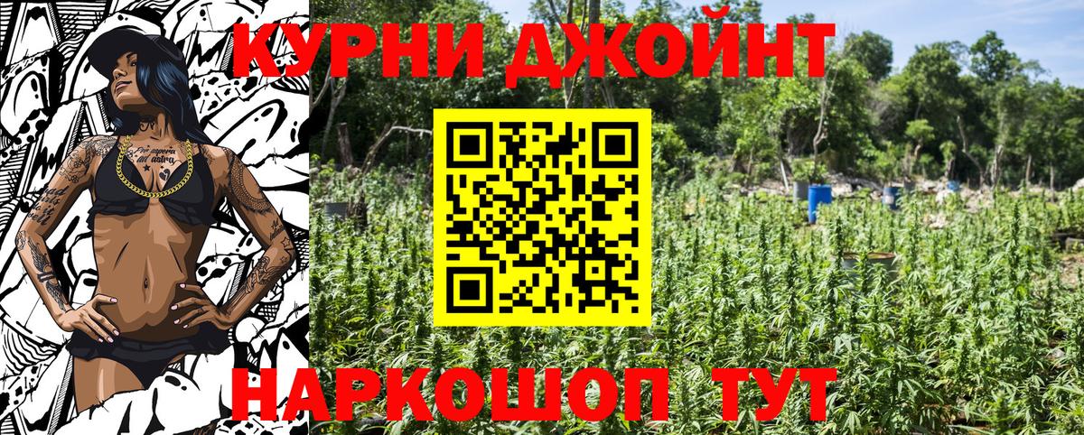 Бор  Бошки Шишки семена  Вход с VPN  Канабис THC 21% 